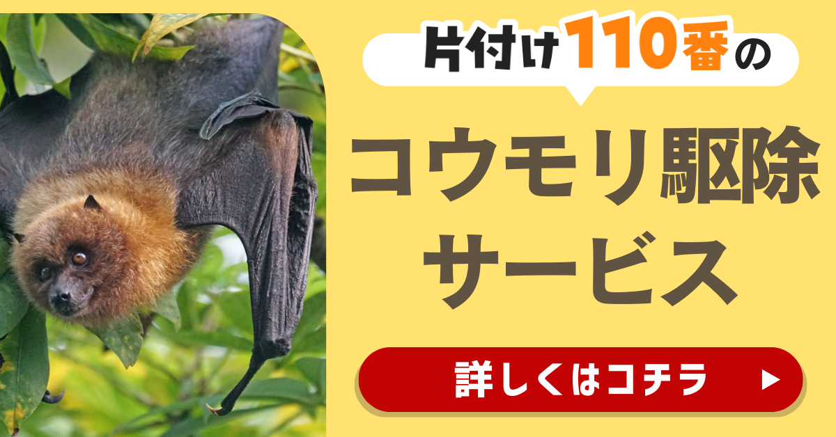 片付け110番のコウモリ駆除サービスはこちら