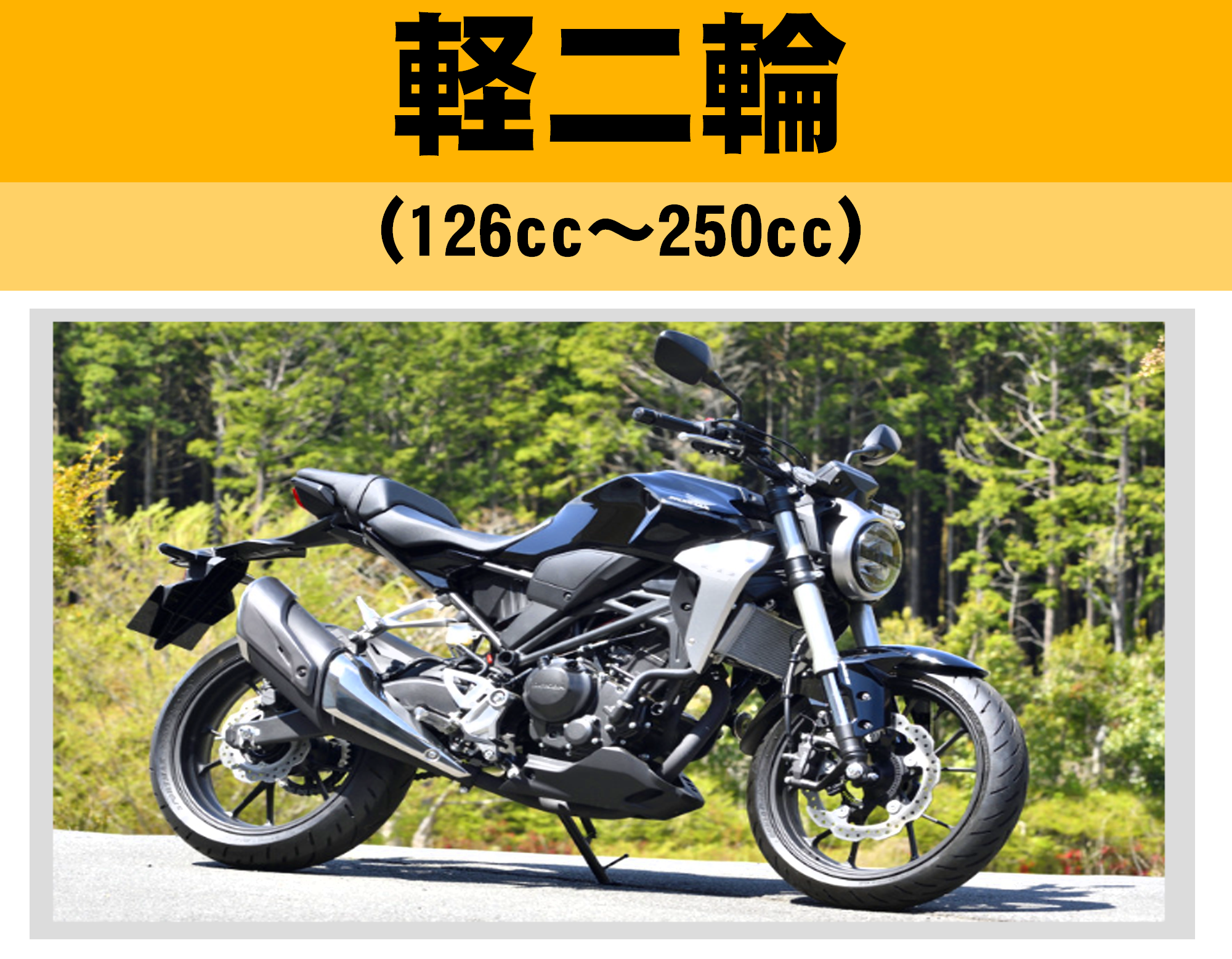 （2）軽二輪（126cc～250cc）の廃車手続き