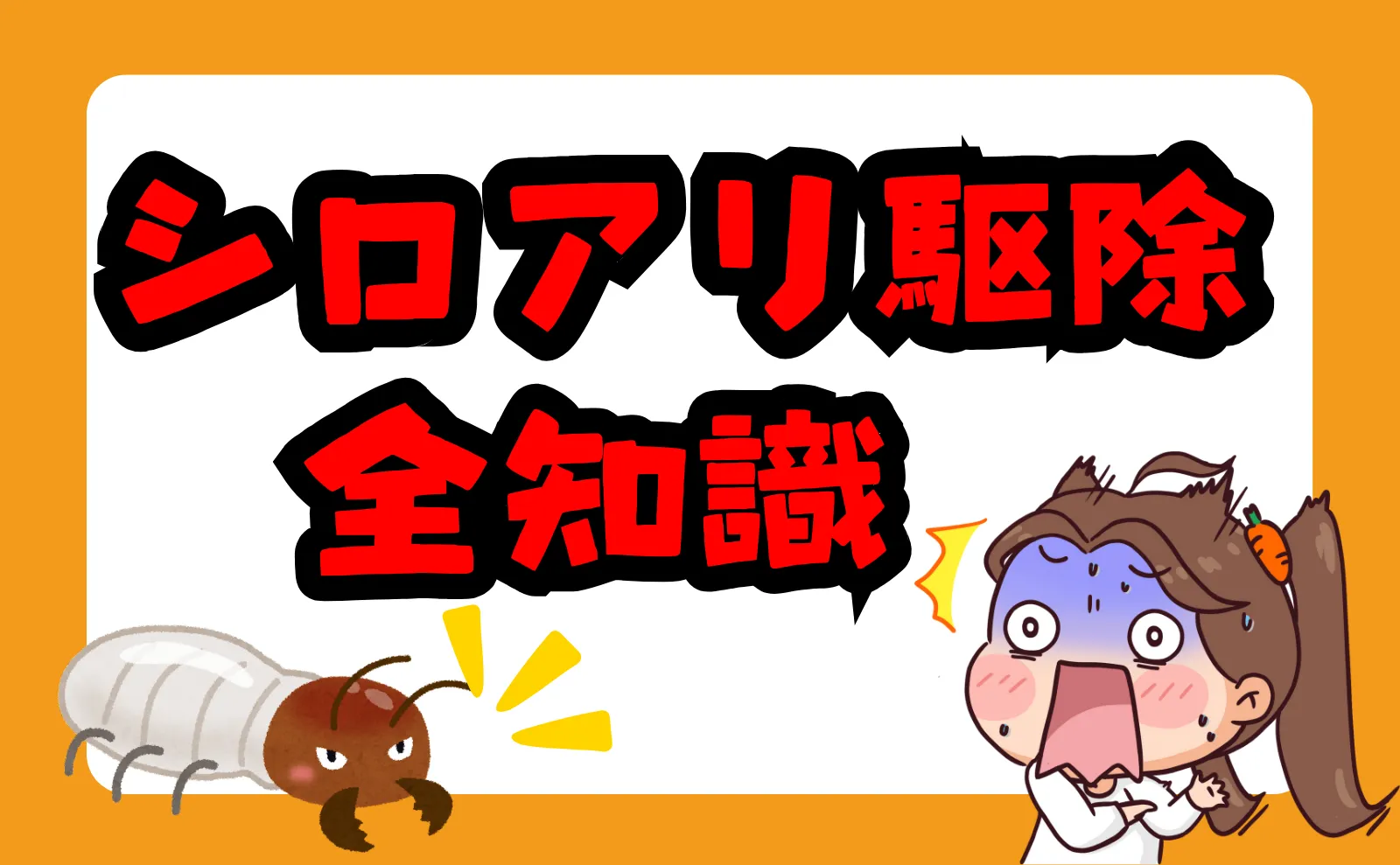 シロアリ駆除費用相場・最適な時期・自力駆除～業者駆除までの全知識