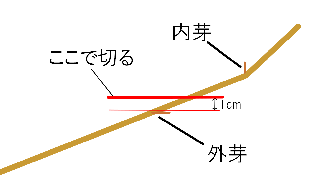 細い枝の場合