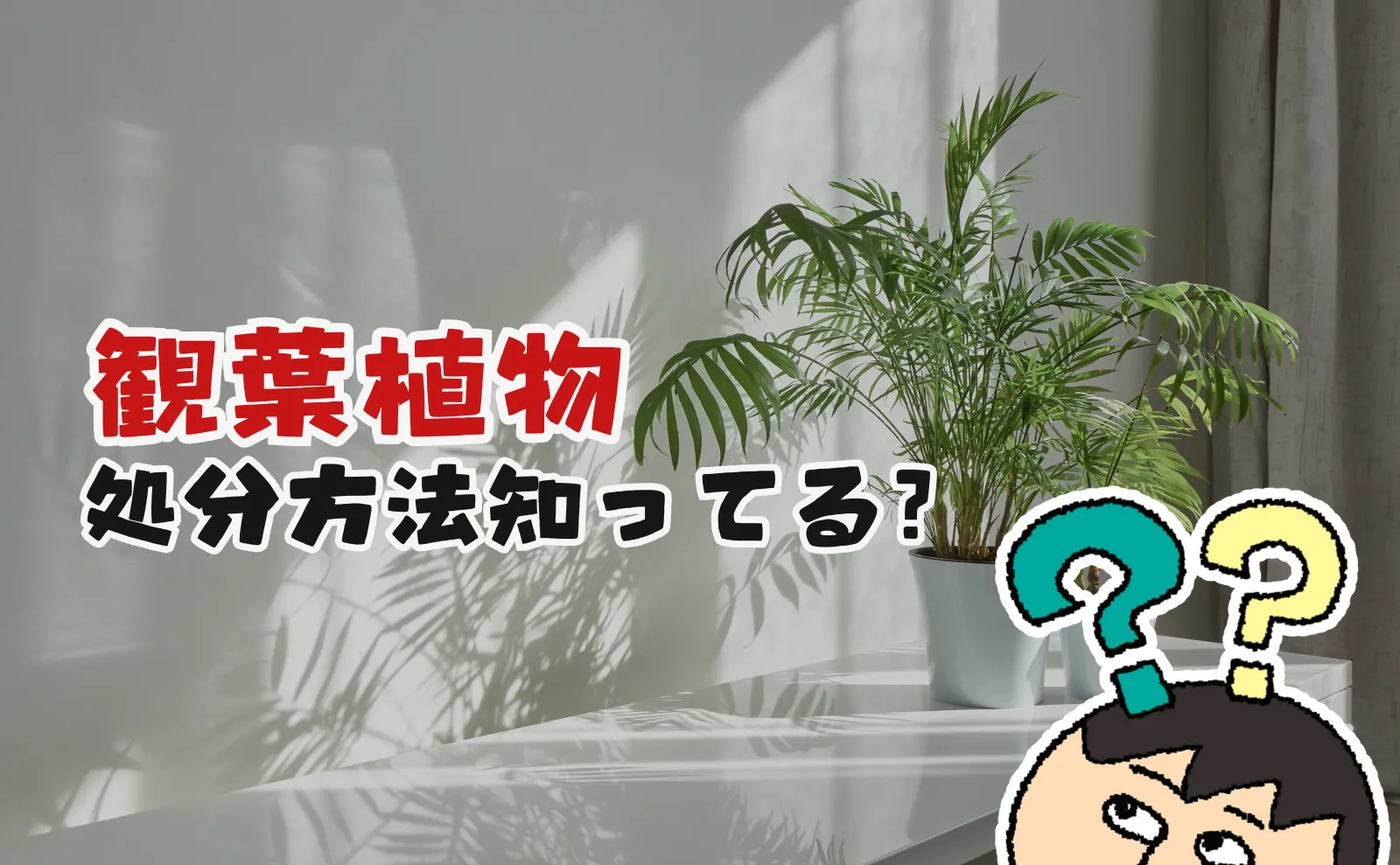 観葉植物の処分方法7選。土は自治体に引き取ってもらえない？業者選びのポイントも紹介！