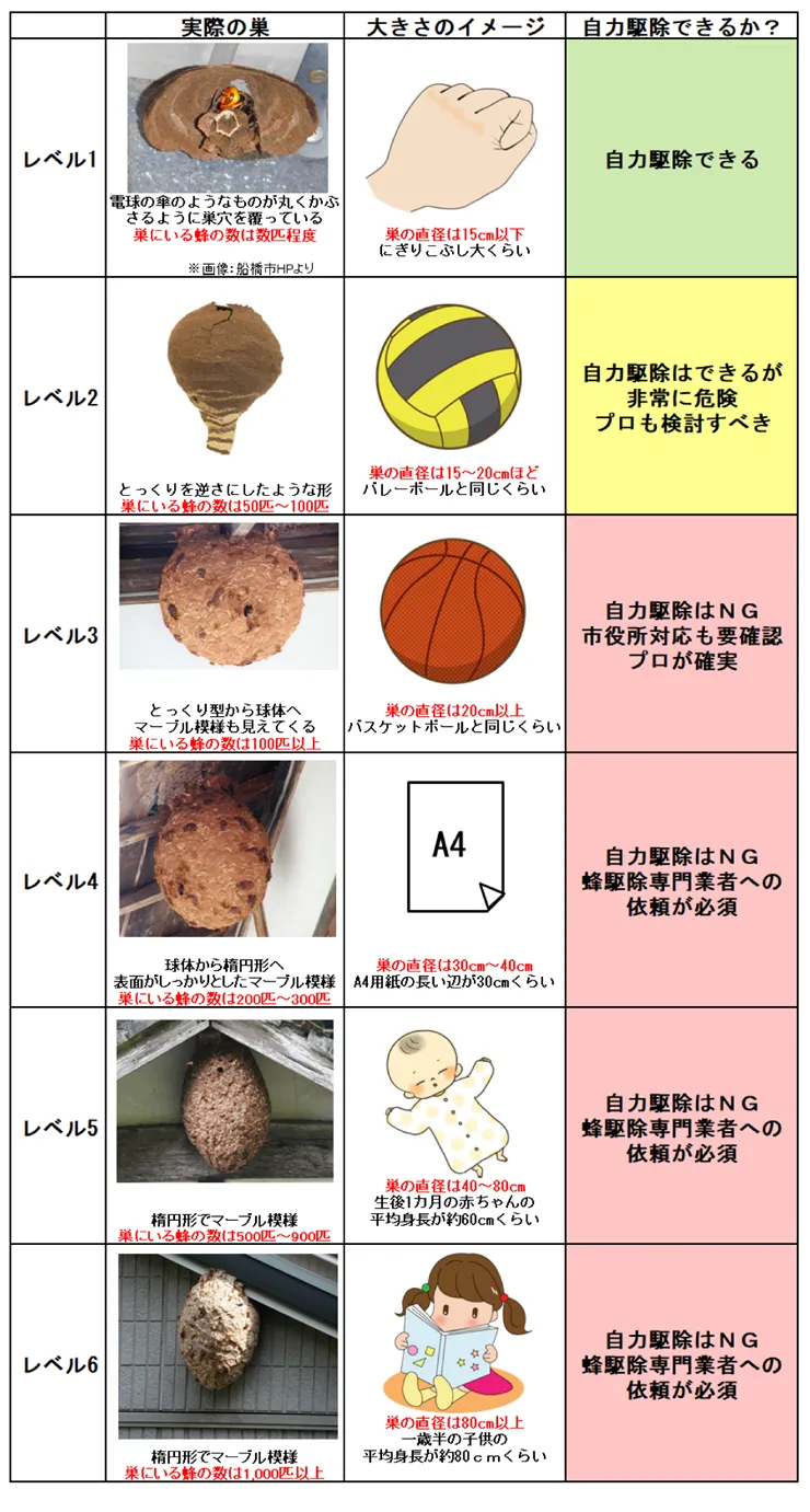 専門業者でスピーディーかつ確実にスズメバチの駆除をしてもらう