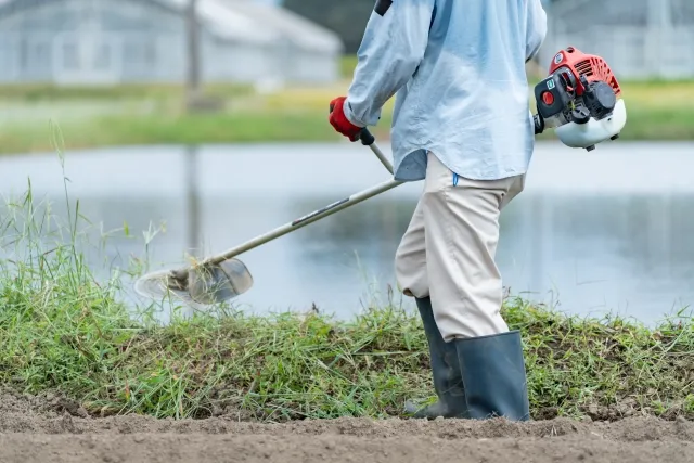 実例で解説！最新草刈りの費用相場