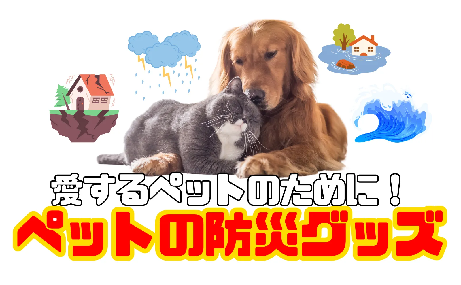 いざという時のために：ペットと一緒に乗り越える災害対策と防災グッズ選び