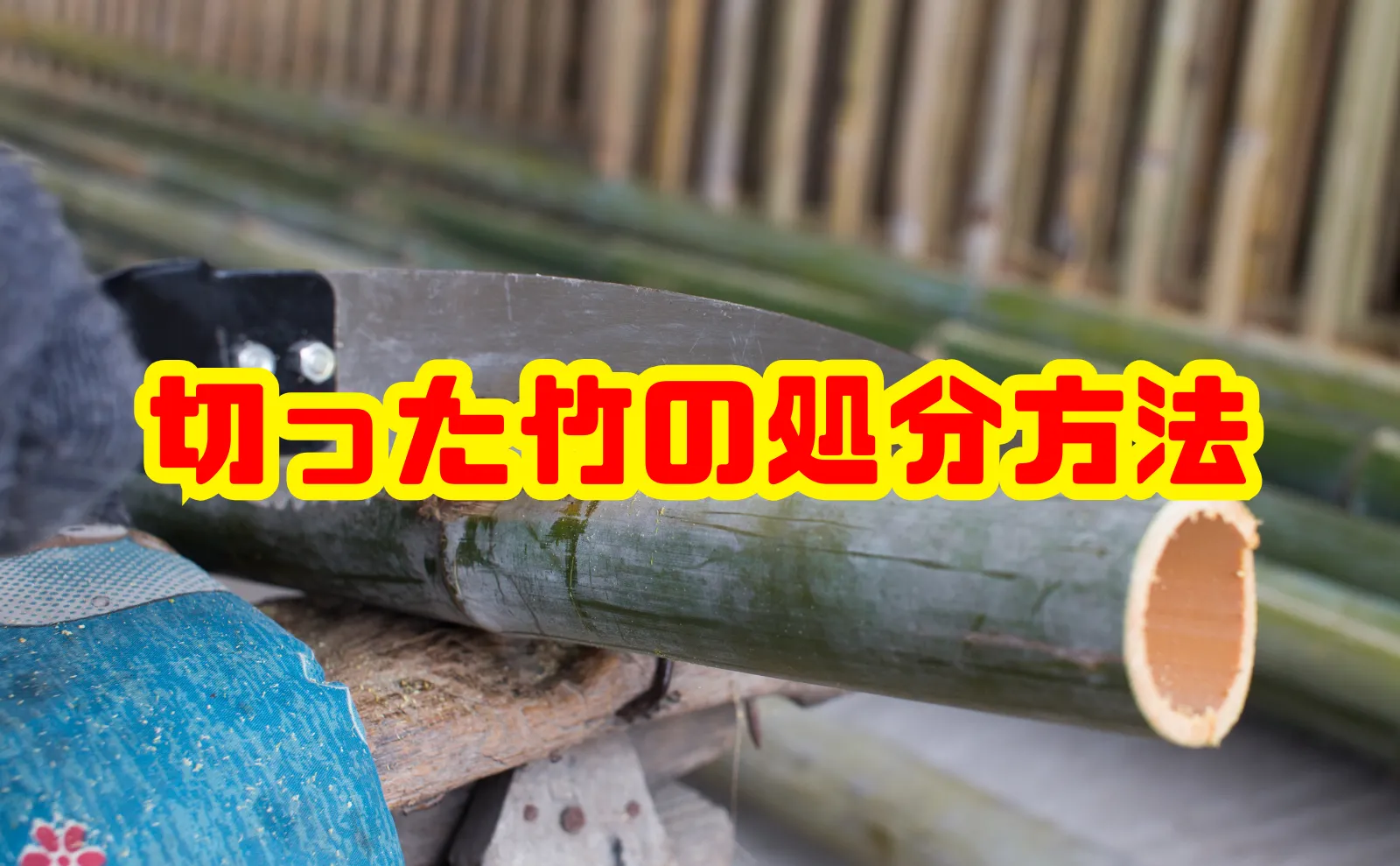 切った竹の処分方法を徹底解説！安全かつスムーズに片付けるコツ