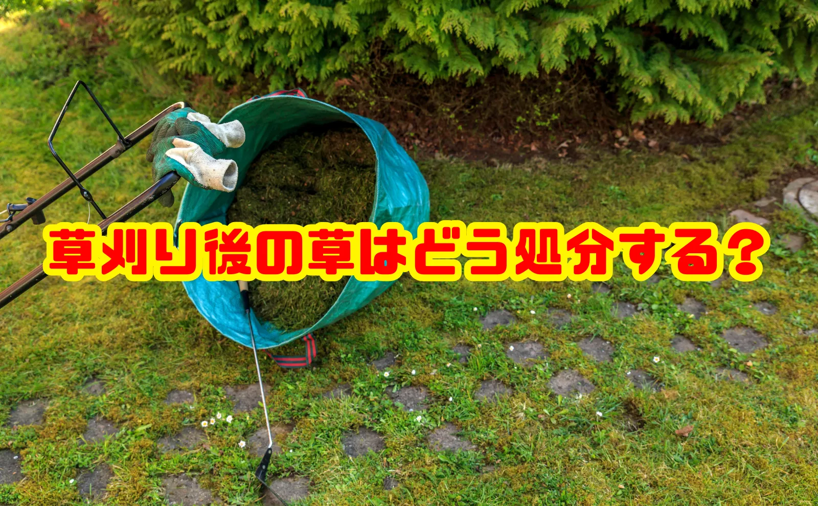 草刈り後の草はどう処分する？正しい廃棄方法・費用と注意点