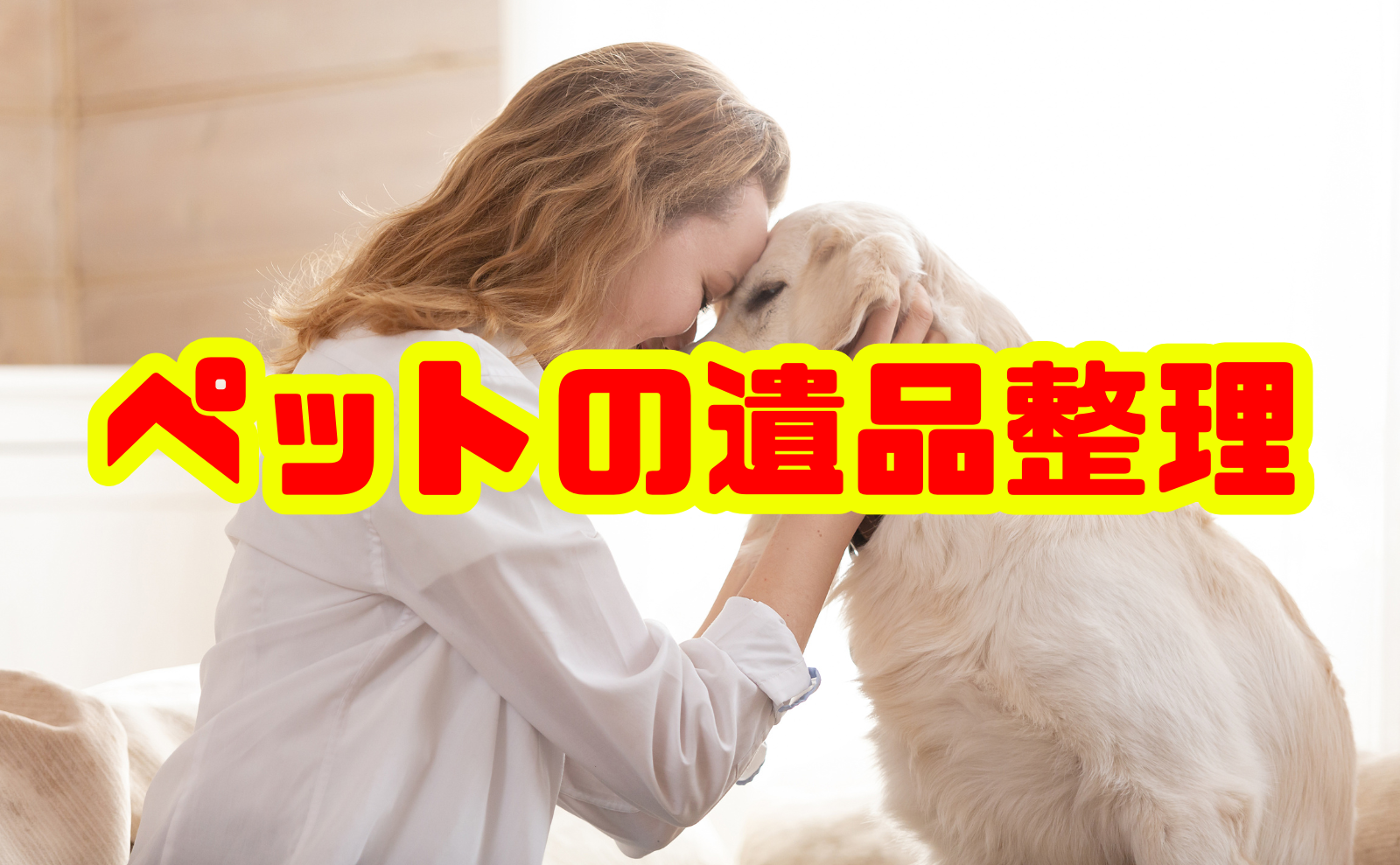 【保存版】亡くなったペットちゃんの遺品整理を丁寧に行うためのガイド