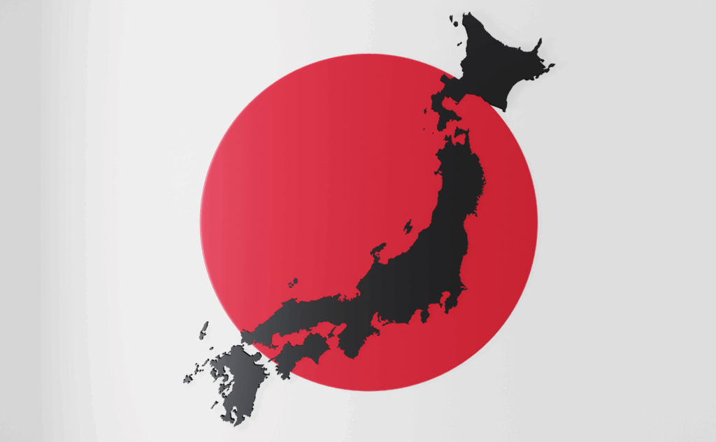 主要自治体別:処分ルールの概要