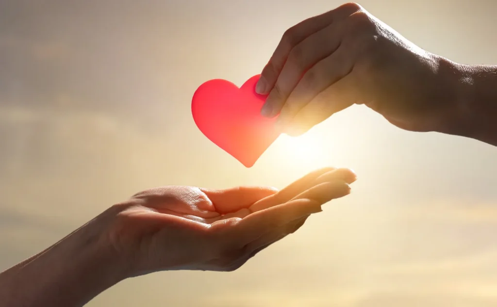 ぬいぐるみを譲る・寄付する選択肢