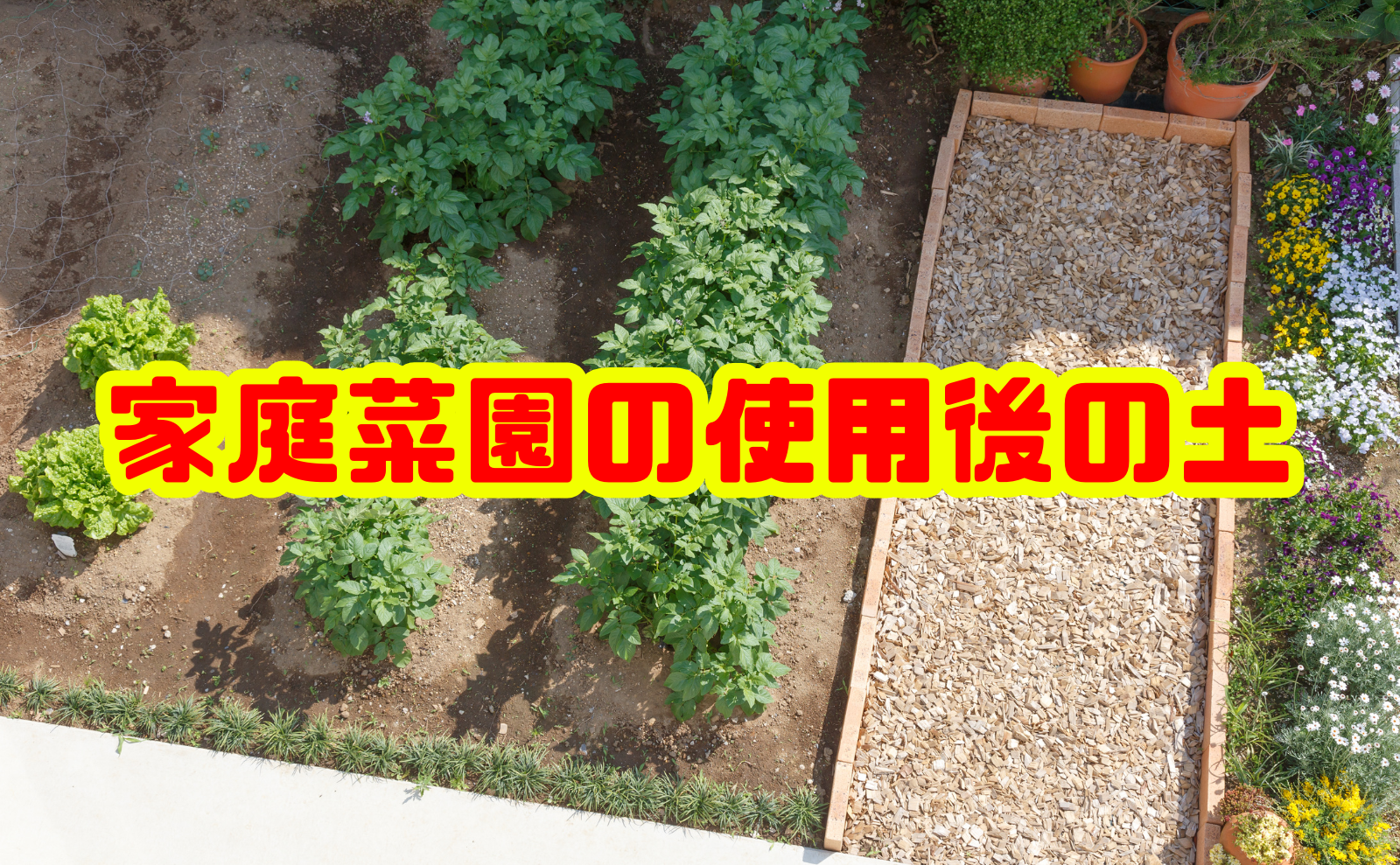 家庭菜園の使用後の土はどう捨てる？正しい処分・再利用方法を徹底解説