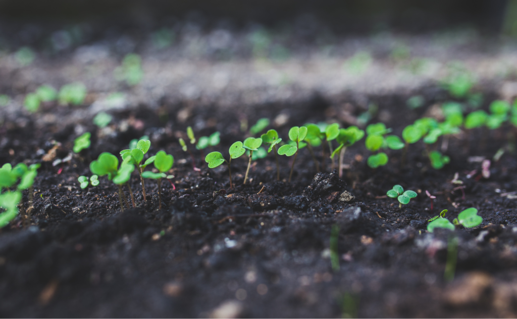 まとめ・総括：家庭菜園の土を安全＆便利に処分・再利用するために