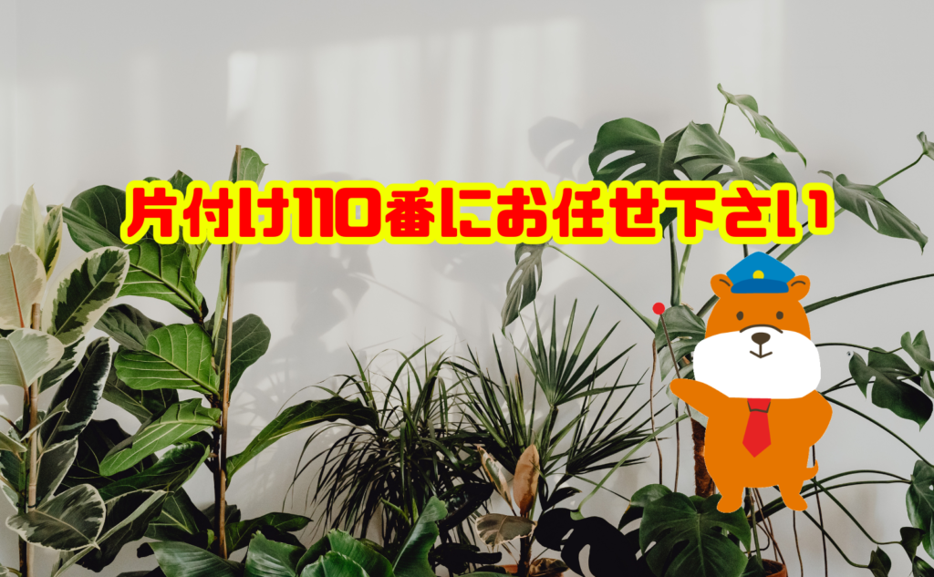観葉植物の捨て方に迷ったら片付け110番にお任せ下さい