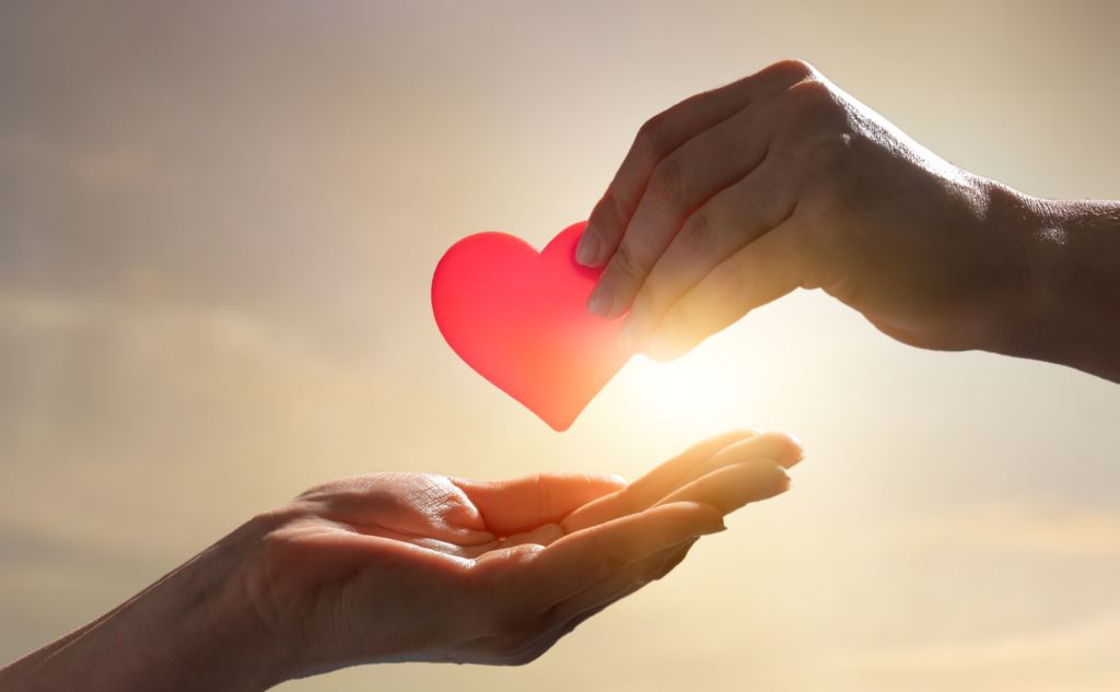 捨てない選択肢｜譲る・寄付・売るの現実的なコツ