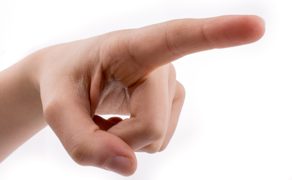 毎日物を捨てるときの判断基準