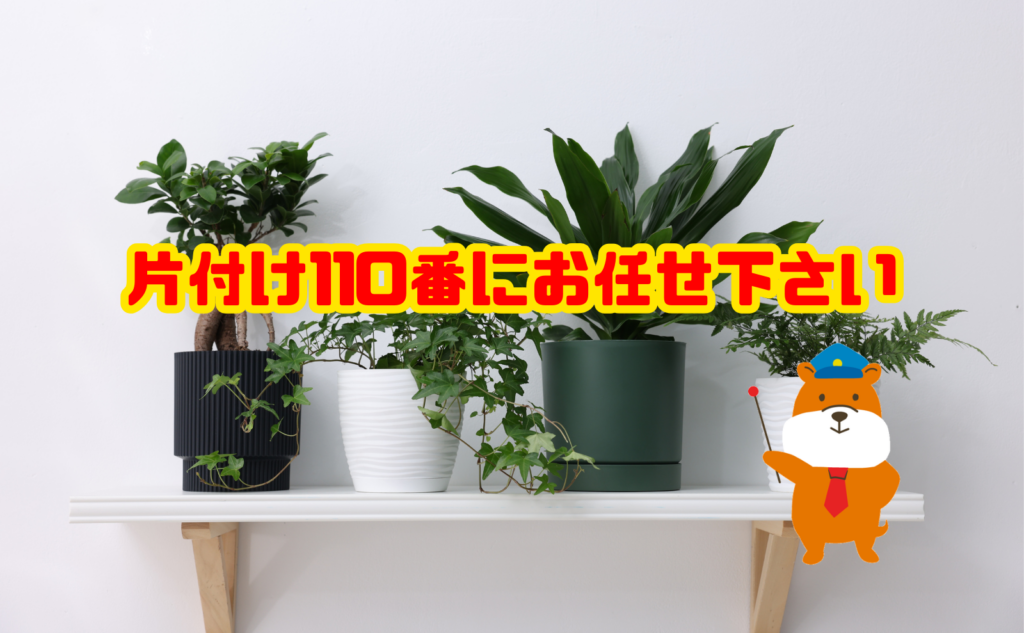 観葉植物の処分や大量の片付けは片付け110番にご相談ください