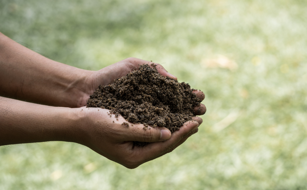 観葉植物の土を処分する方法