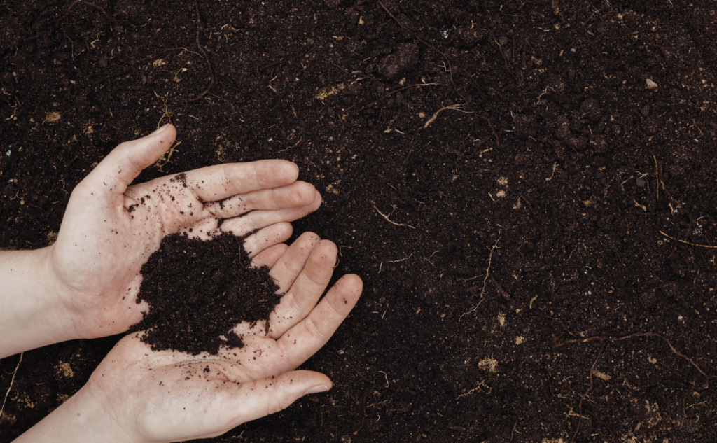 まとめ｜土買取を考えるなら「土の種類」と「量」の確認が最優先