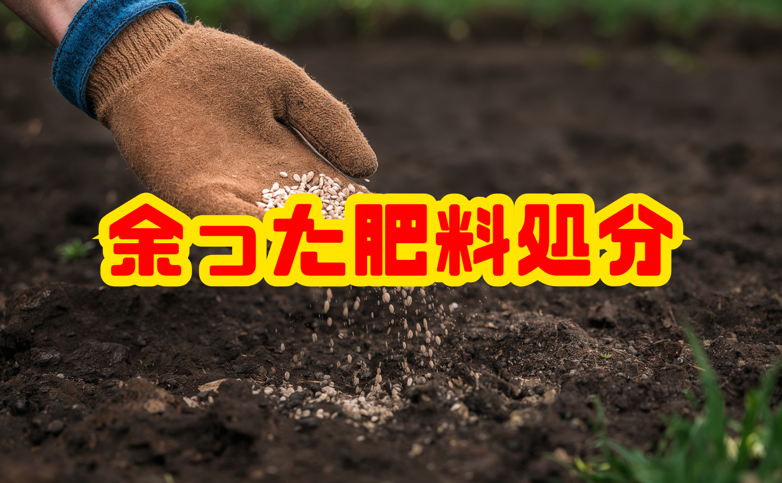 余った肥料処分の方法と捨て方の注意点