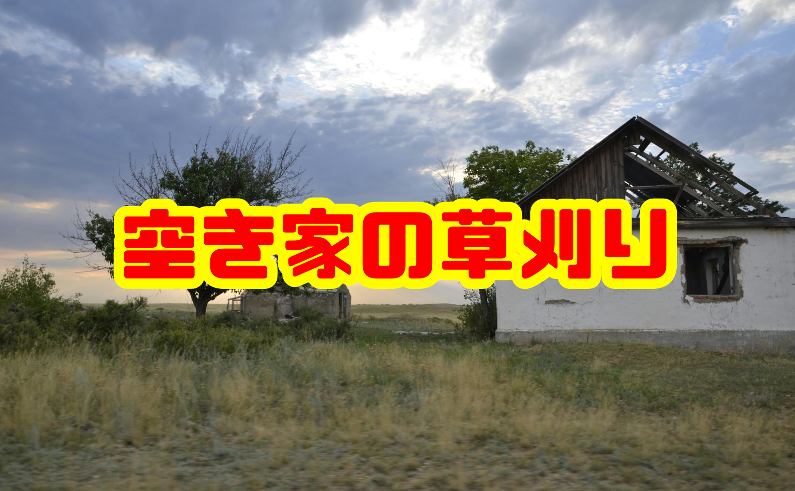 空き家の草刈りの費用と管理方法を徹底解説！放置リスクも紹介