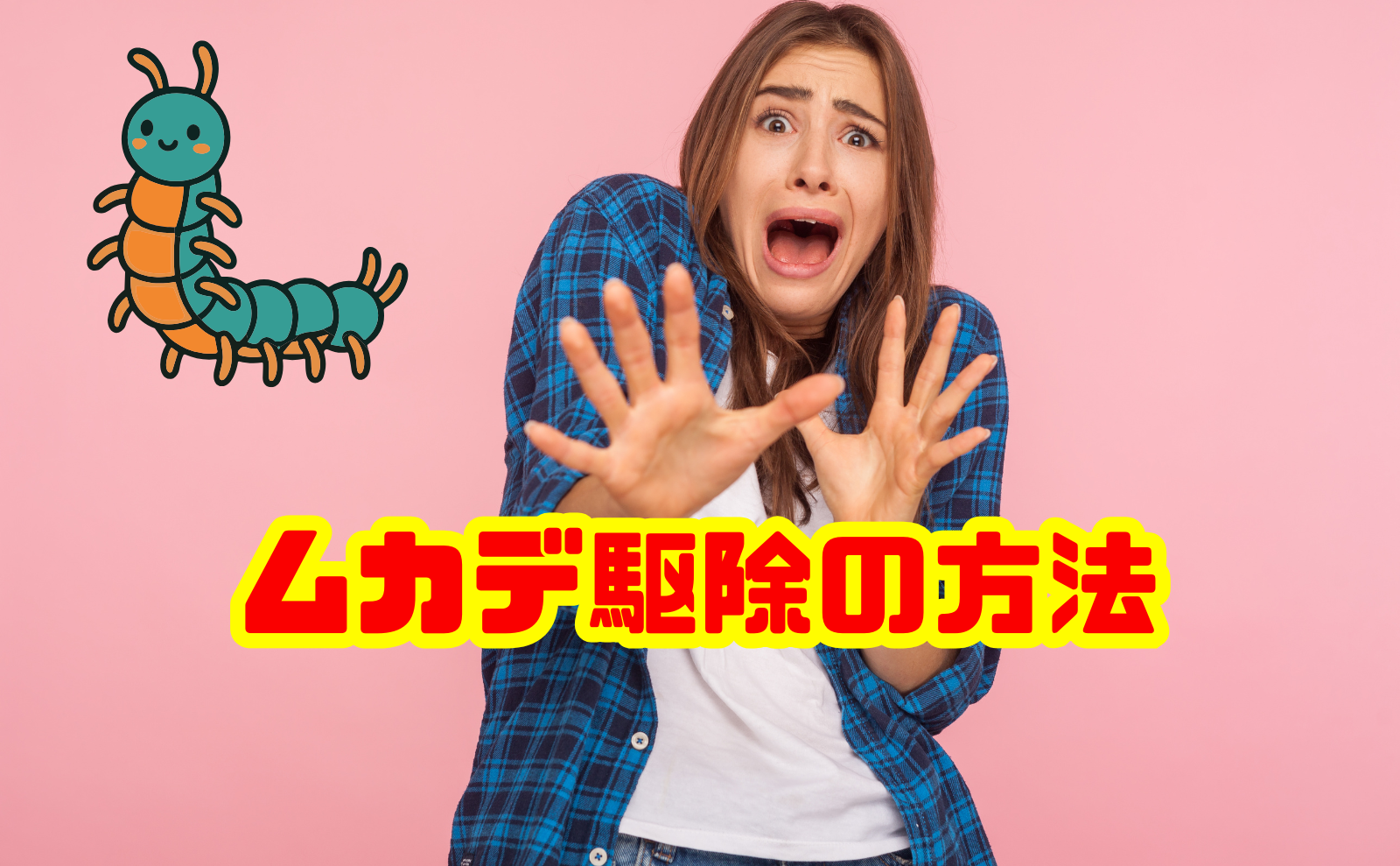 ムカデ駆除の方法を徹底解説!再発防止と安全対策のポイント