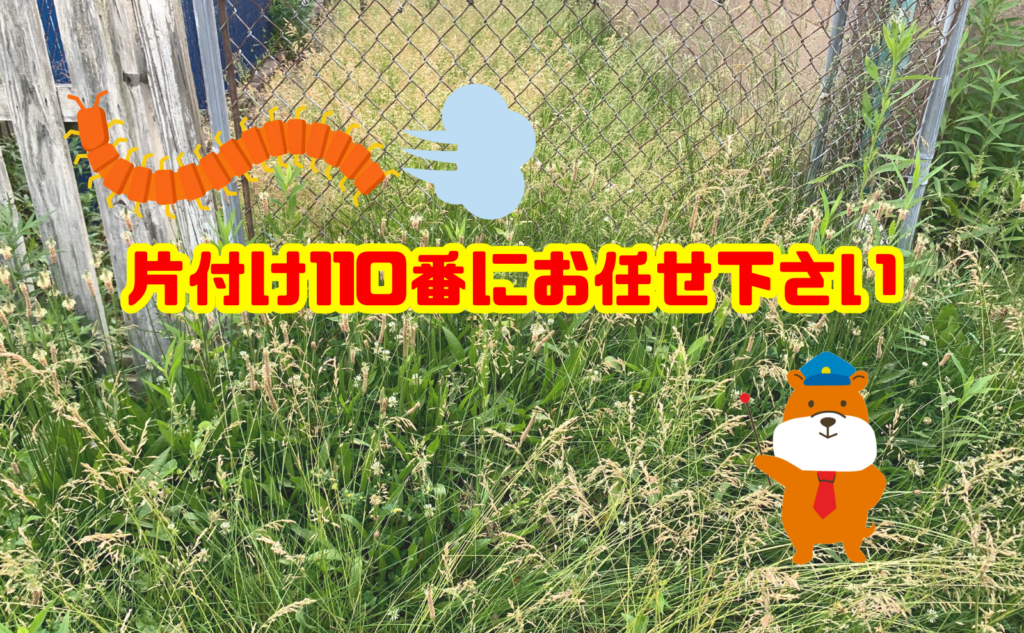 ムカデ駆除なら片付け110番へご相談ください