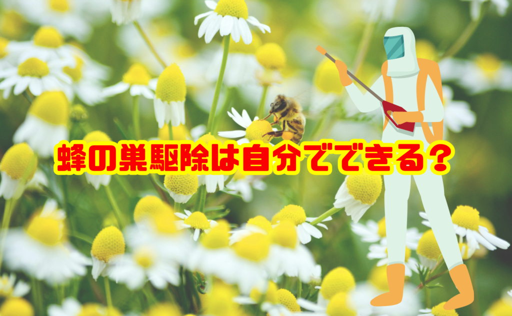 蜂の巣駆除は自分でできる?安全な方法と業者へ依頼すべきケース