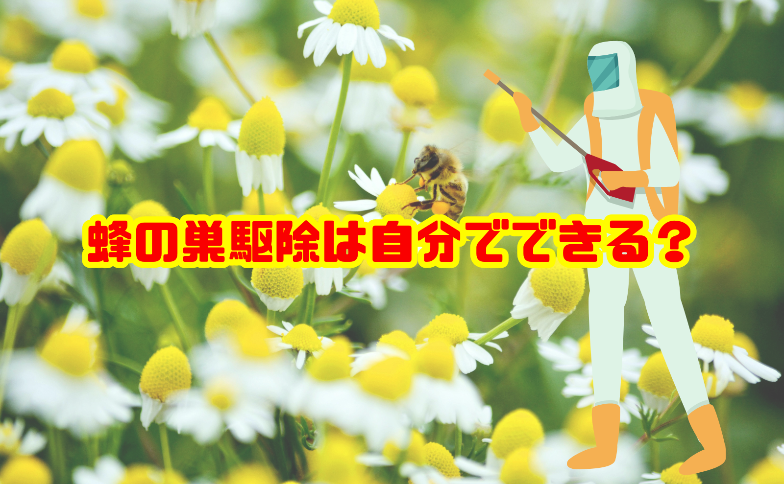 蜂の巣駆除は自分でできる？安全な方法と業者へ依頼すべきケース