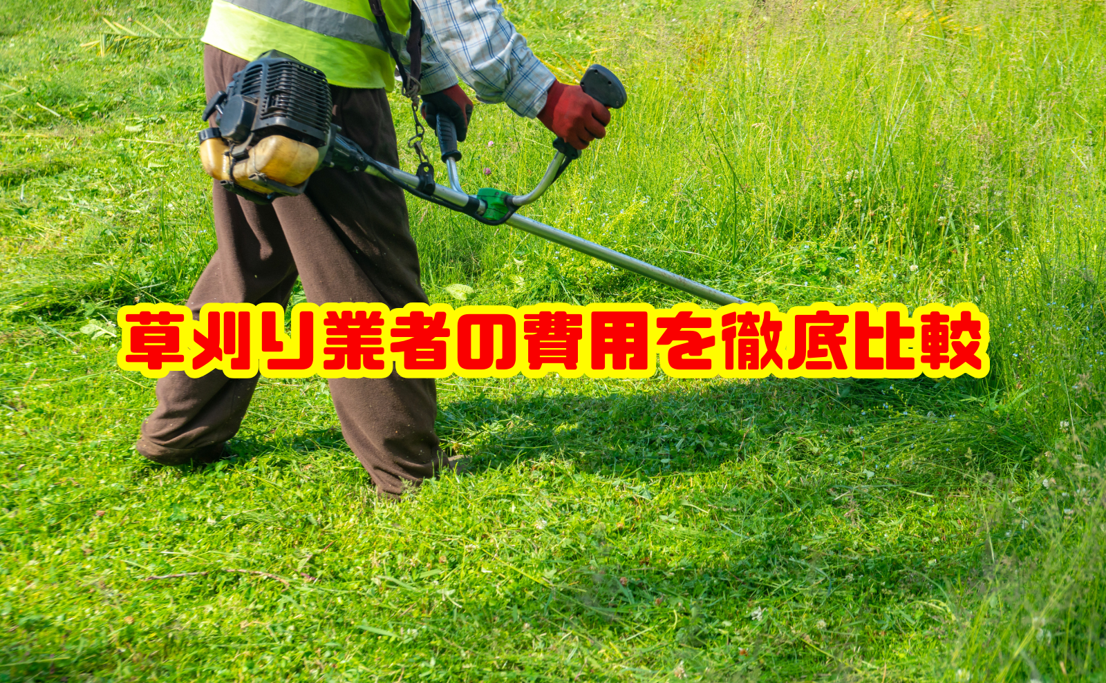 草刈り業者の費用を徹底比較！料金相場と安く依頼するコツ