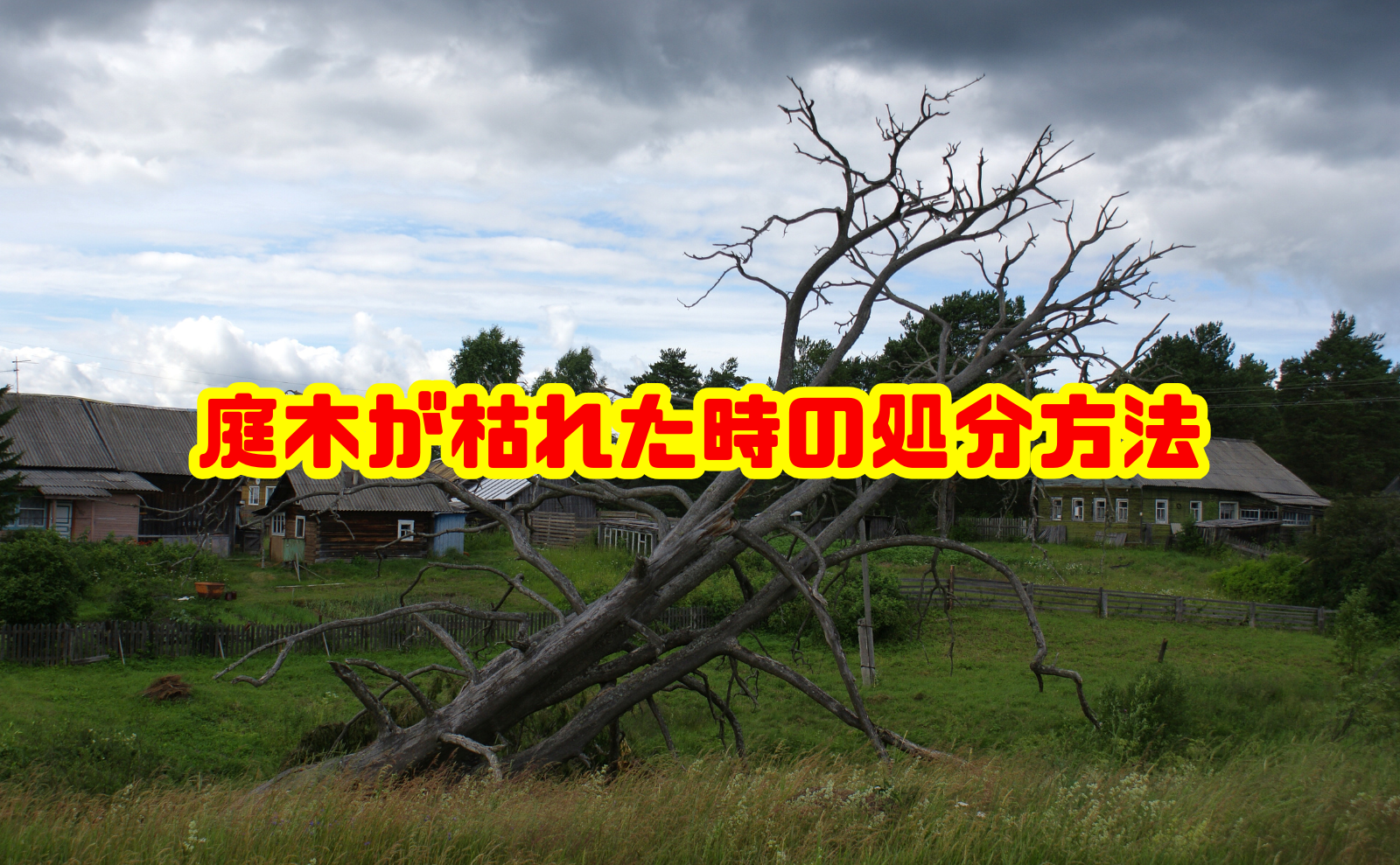 庭木が枯れた時の処分の方法を解説！費用相場と安全な片付け方