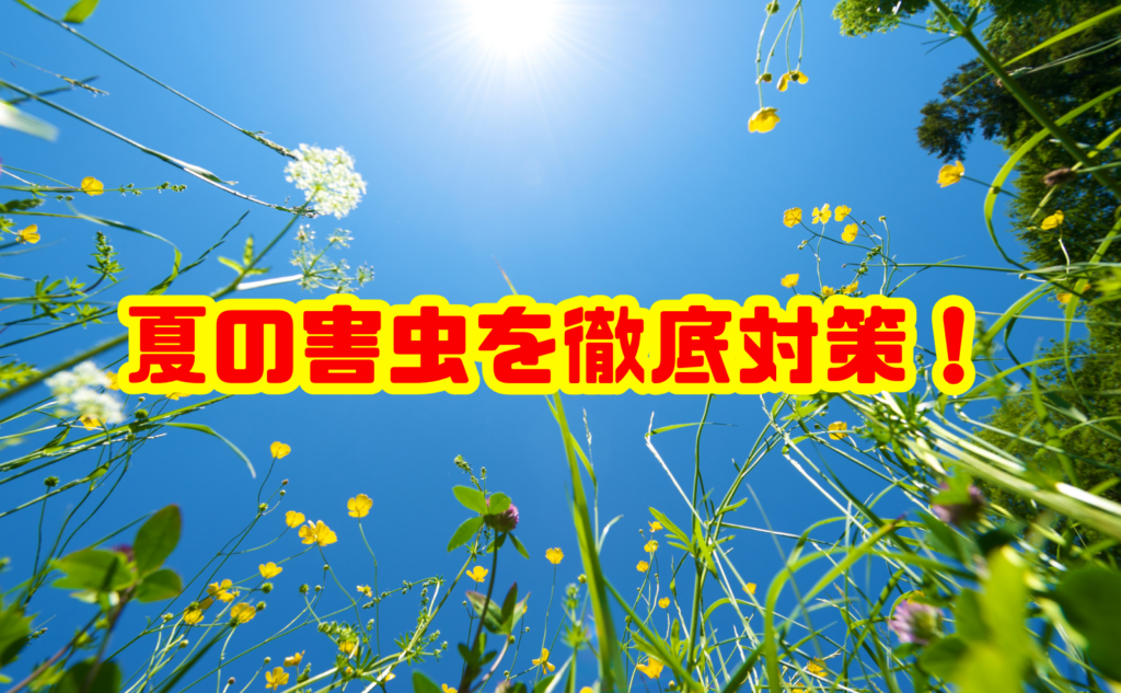 夏の害虫を徹底対策!発生原因・駆除方法・予防法をわかりやすく解説