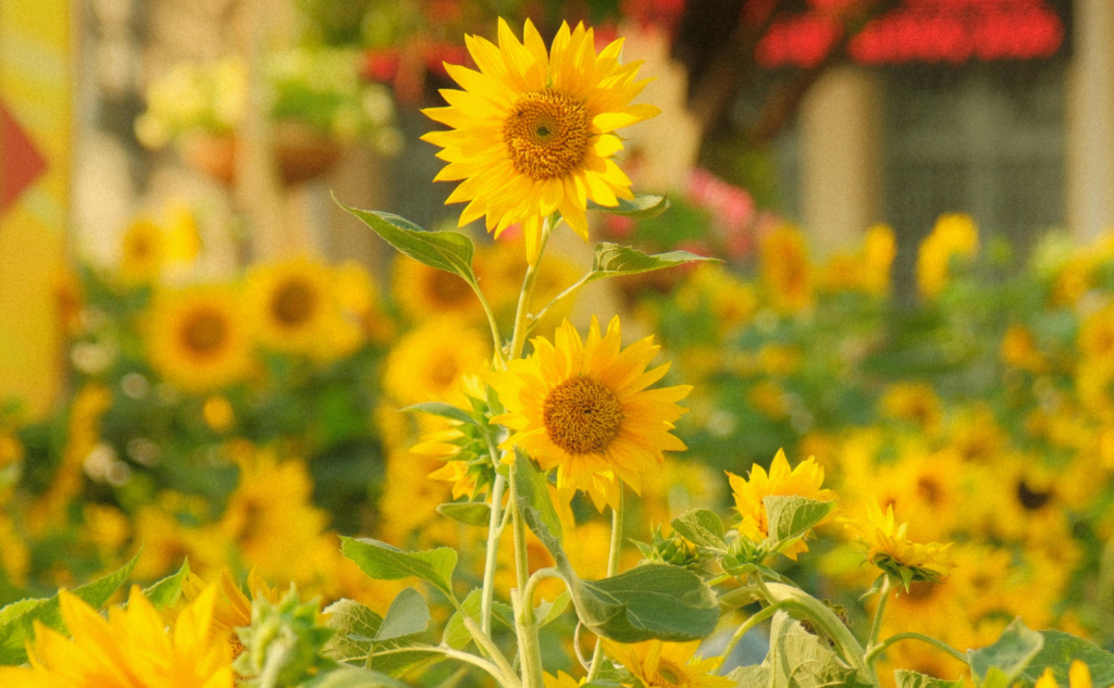 まとめ│夏の害虫対策は賢くスピーディーに!