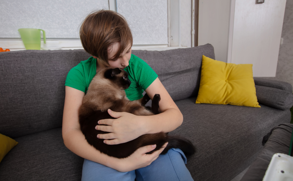 まとめ│震災の教訓を生かして愛猫を守る防災対策を始めよう