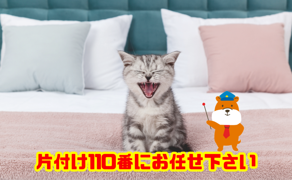 猫の防災に備えた住まいの片付けなら片付け110番へご相談ください