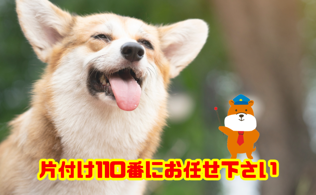 犬の防災グッズの買い物代行なら片付け110番へご相談ください