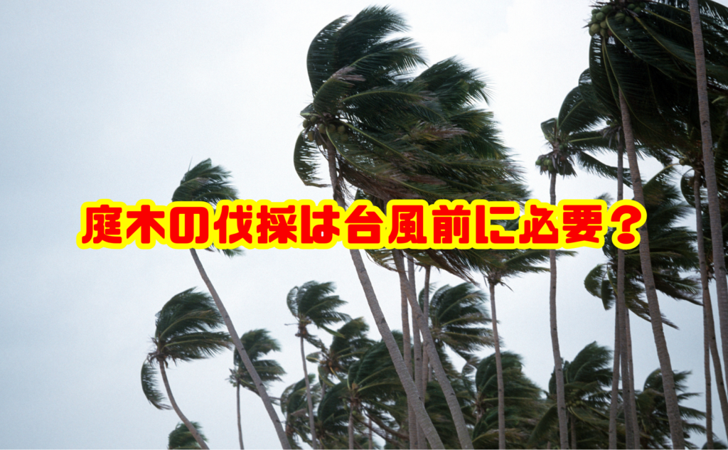 庭木の伐採は台風前に必要?危険な木の見分け方と対策を解説