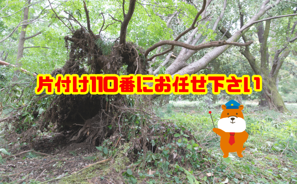 台風前の庭木の伐採・処分に困ったら片付け110番へご相談ください