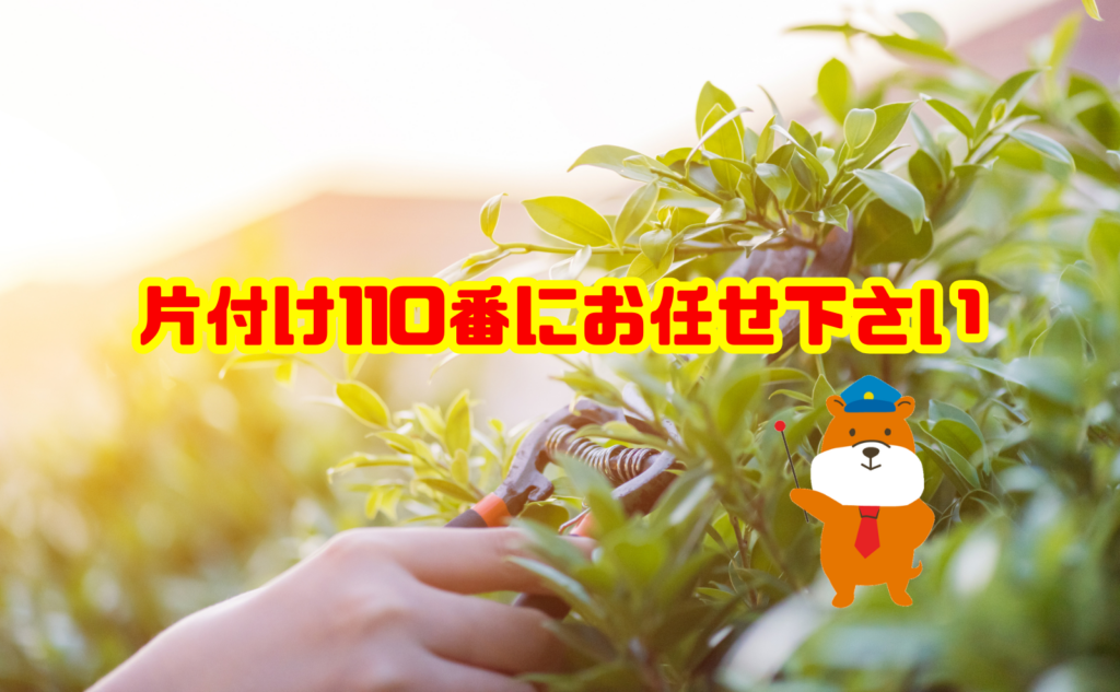 夏の庭木剪定・剪定枝の処分なら片付け110番へご相談ください
