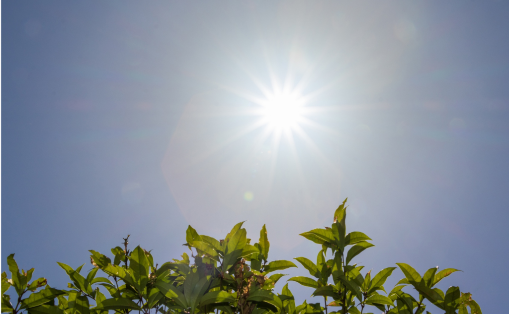 夏のお盆に遺品整理をする際の注意点