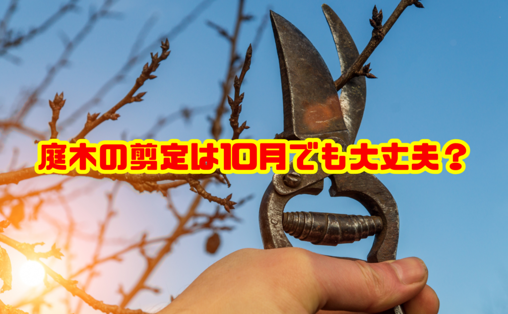 庭木の剪定は10月でも大丈夫？適した樹木と切り方・注意点を解説
