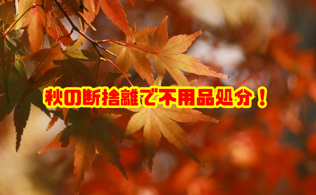 秋の断捨離で不用品処分！年末前に家をすっきり整える方法