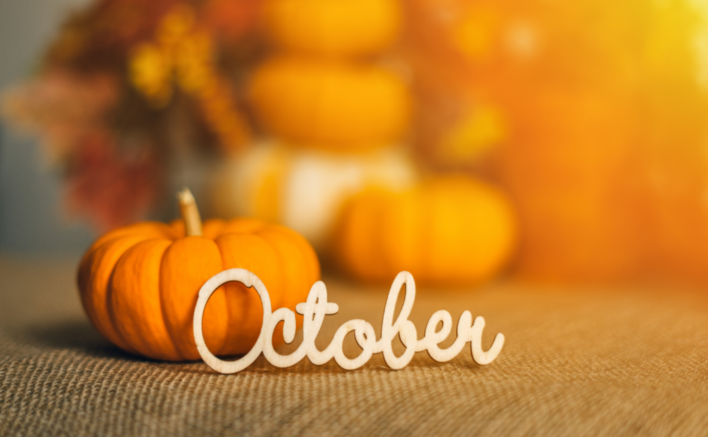 年末前の清掃は9～10月から始めるのがおすすめ