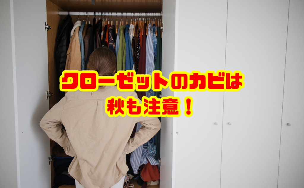 クローゼットのカビは秋も注意!衣替えの掃除方法と予防策を解説