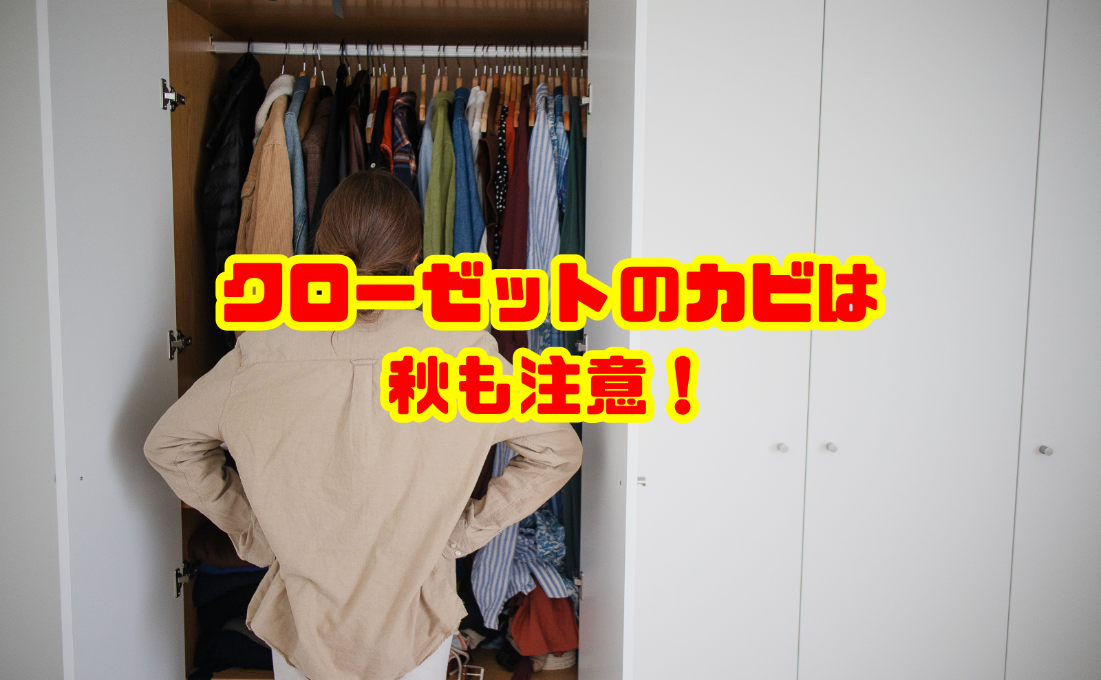クローゼットのカビは秋も注意！衣替えの掃除方法と予防策を解説