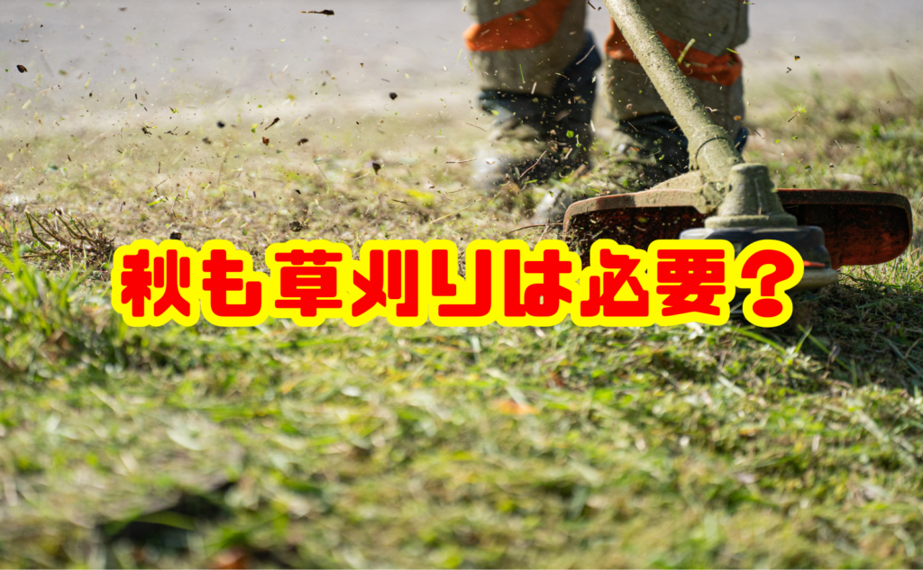 秋も草刈りは必要?やるべき理由と時期・冬前の雑草対策を解説