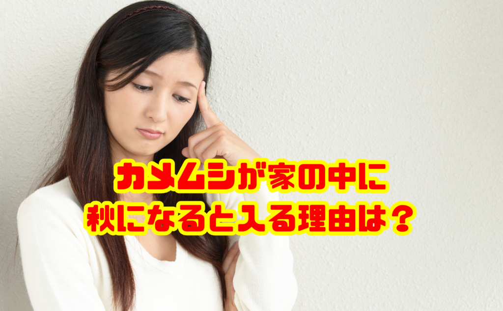 カメムシが家の中に秋になると入る理由は？侵入経路と対策を解説