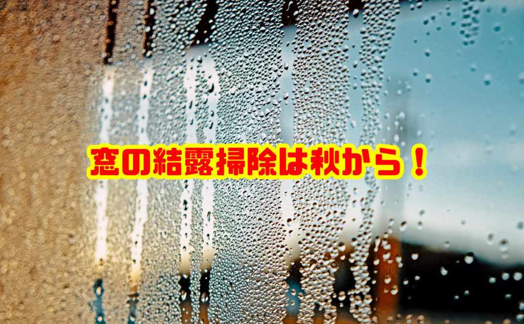 窓の結露掃除は秋から!冬前にやるカビ対策と予防方法を解説