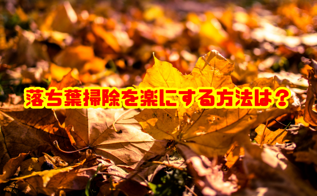 落ち葉掃除を楽にする方法は？効率よく片付けるコツと便利な道具