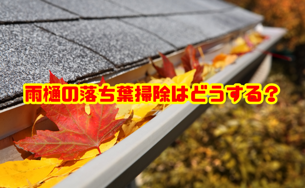 雨樋の落ち葉掃除はどうする？詰まりの取り方と予防方法を解説