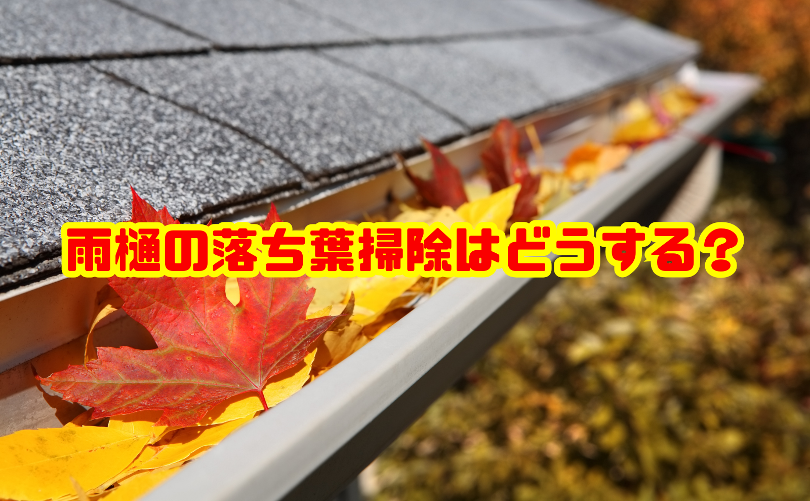 雨樋の落ち葉掃除はどうする？詰まりの取り方と予防方法を解説