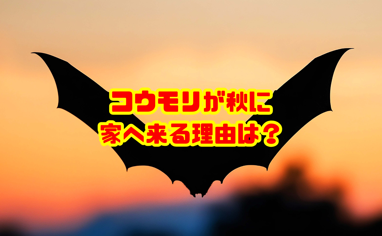 コウモリが秋に家へ来る理由は？冬眠前の侵入対策と駆除費用を解説